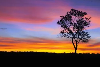 פאזל של Cerrado - Bahia