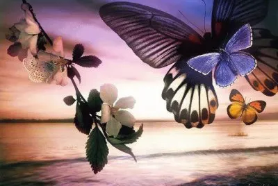 v