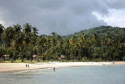 פאזל של Inema - Salvador