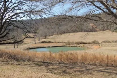 Country Pond