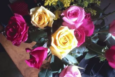 ROSAS MI PASION