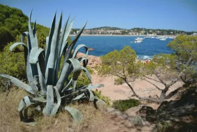SagarÃ³
