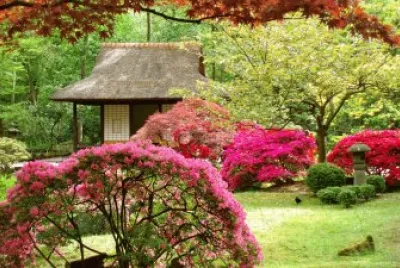 Japanse Garden