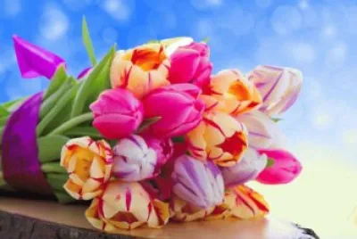 Tulip Bouquet