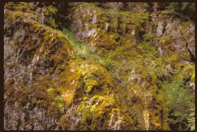 MARSU jigsaw puzzle