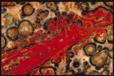 MARSU jigsaw puzzle