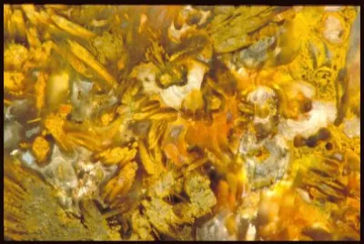 MARSU jigsaw puzzle