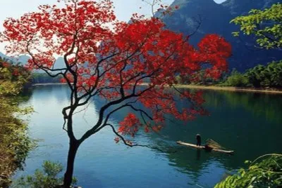 natureza
