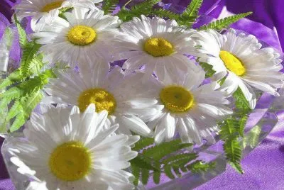 natureza