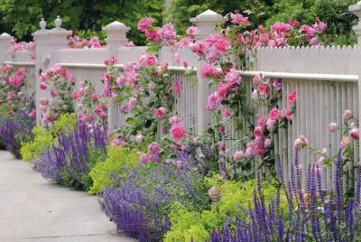JardÃ¬