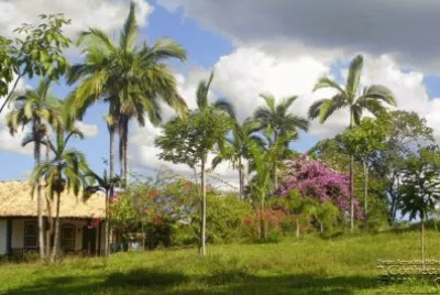 imagem jigsaw puzzle