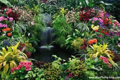 jardin jigsaw puzzle