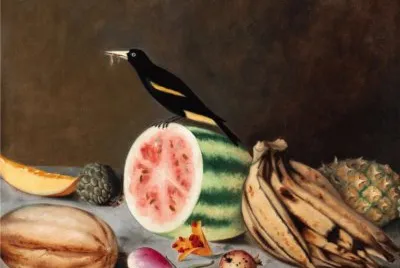 Frutas e Ave de SÃ£o JoÃ£o