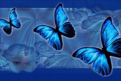 mariposas