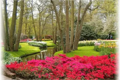 21 jardim