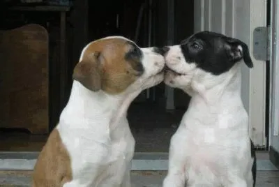 kiss
