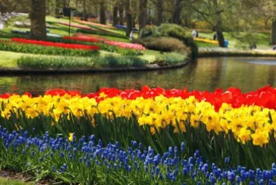 פאזל של Keukenhof Flower Gardens