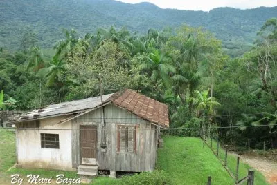 SOLIDÃƒO