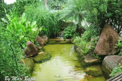 SERENIDADE