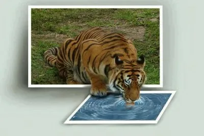 943114_384085575033749_783297975_n jigsaw puzzle
