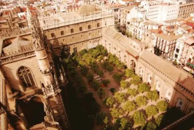 catedral patio