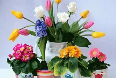 פאזל של Flowers