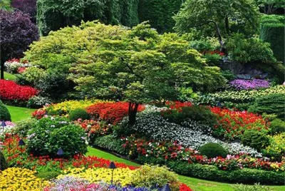 Jardim bem florido