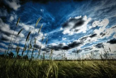 Blacken Clouds