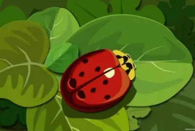 פאזל של Lady Bug