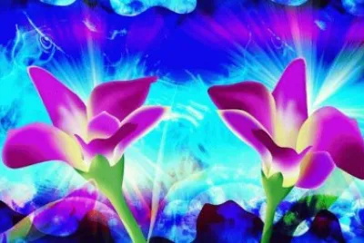 פאזל של Flowers