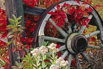 פאזל של Wheel from a old Cart