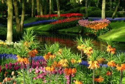Keukenhof