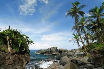 Ilha de CapurganÃ¡, ColÃ´mbia