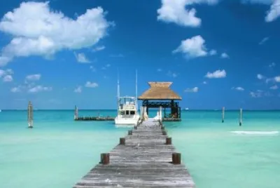 alex5856