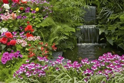 ruisseau fleuri