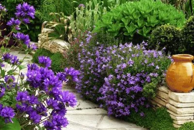 jardin