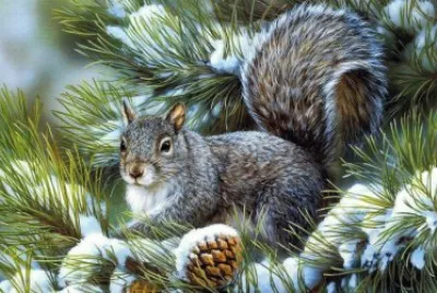 winter