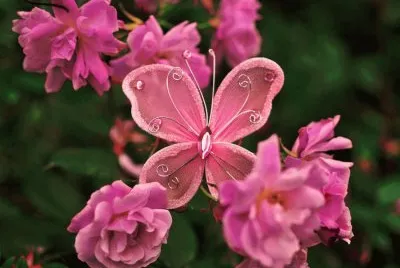 פאזל של Butterfly