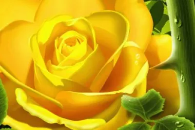 פאזל של Yellow Rose