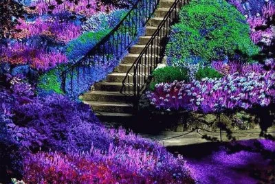 jardin