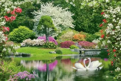 jardin jigsaw puzzle