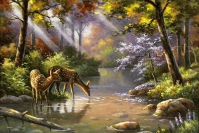 animais