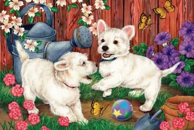 animais