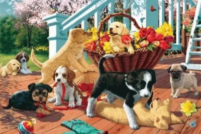 animais