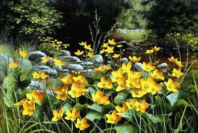 natureza jigsaw puzzle
