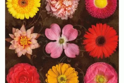 פאזל של Floral Varieties