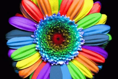 פאזל של Rainbow Flower