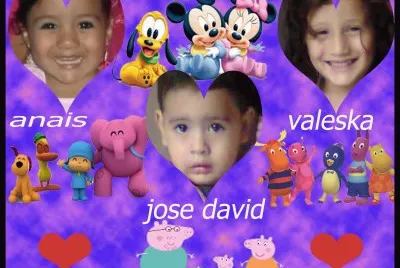 david