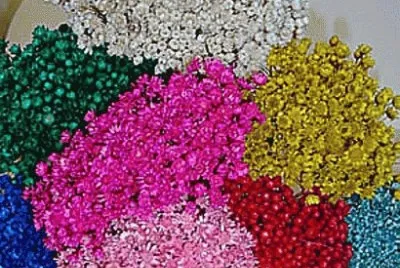 Sempre Viva Artesanato