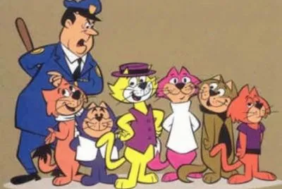 Don gato